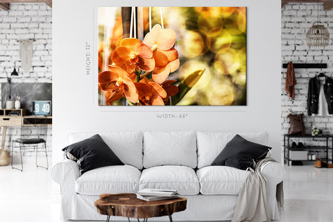 Impression sur toile - Morning Light At Orange Phalaenopsis #E0636