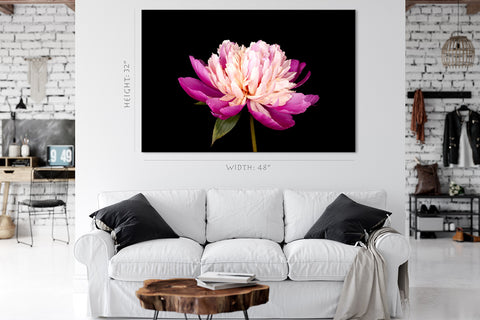 Canvas Print -  Wonderful Pink Peony #E0685