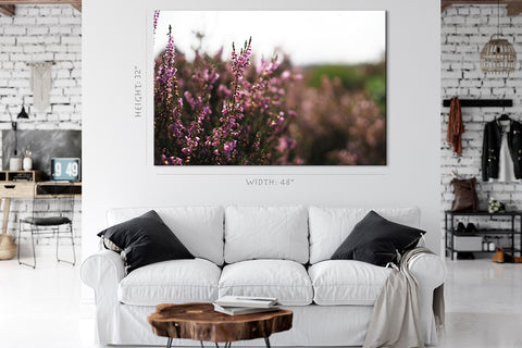 Impression sur toile - Lavande dans un parc naturel, Pays-Bas #E0803