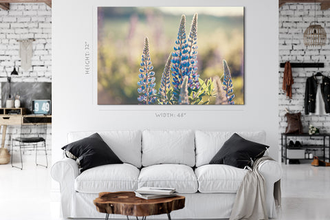 Canvas Print -  Purple And Pink Lupin Bunches #E0593