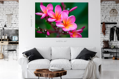 Impression sur toile - Branche de Plumeria rose tropical #E0674