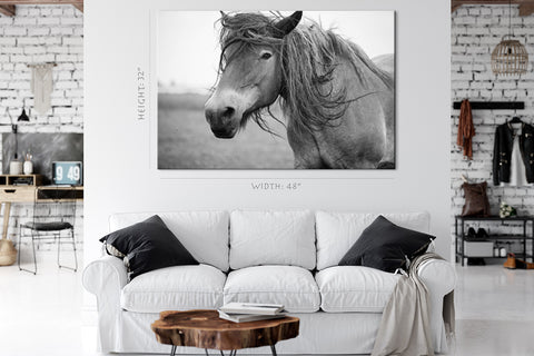 Canvas Print -  European Wild Horse #E0942