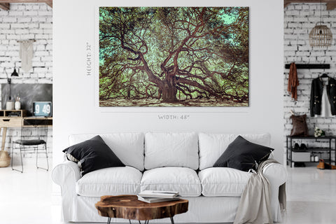 Canvas Print -  Old Angel Oak Tree On John's Island, South Carolina #E0987