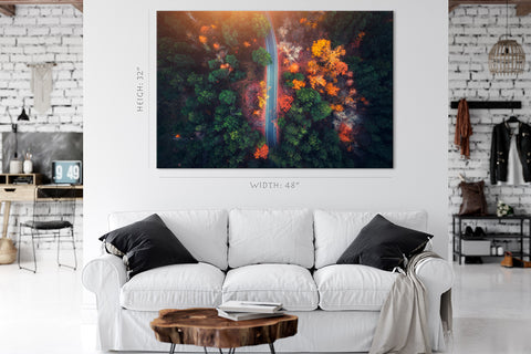 Canvas Print -  Road in beautiful autumn forest at sunset #E0121