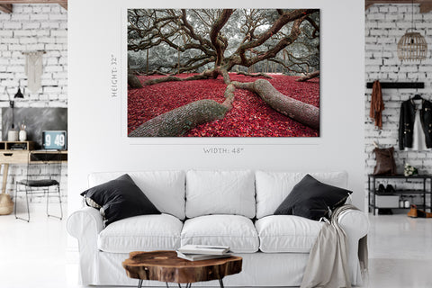 Canvas Print -  Angel Oak In Charleston, South Carolina #E0986