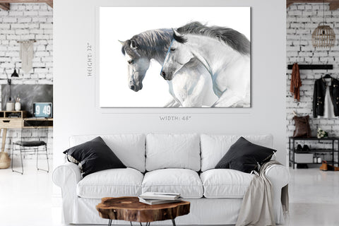 Impression sur toile - Portrait de chevaux blancs #E0896