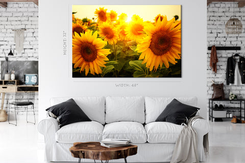 Impression sur toile - Champ de tournesols au lever du soleil #E0733