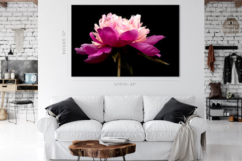 Canvas Print -  Pink Peony #E0692