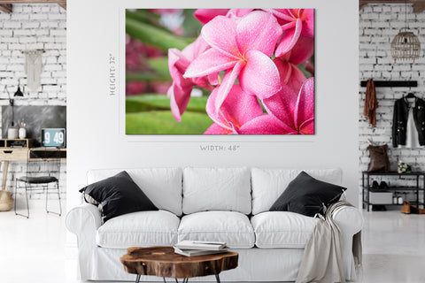 Impression sur toile - Plumeria rose en été #E0669