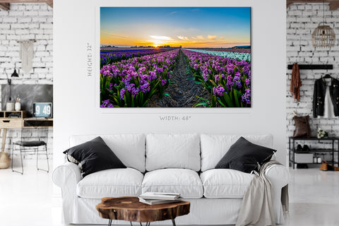 Canvas Print -  Hyacinth Field At Sunset #E0742