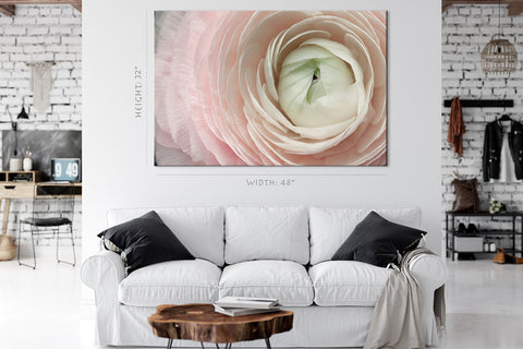 Canvas Print -  Ranunculus Flower, Macro Background #E0698