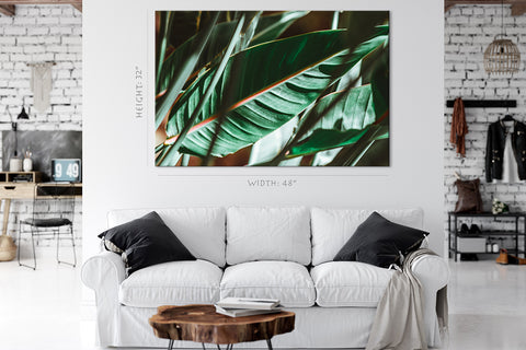 Canvas Print -  Sunlight At Green Palm Branches #E0656