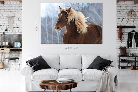 Canvas Print -  Brown Soviet Horse #E0905