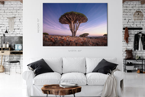 Impression sur toile - Arbre de sang de dragon au lever du soleil #E0963