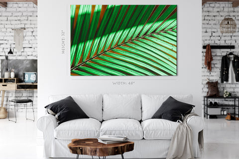 Canvas Print -  Green Palm Branch #E0716