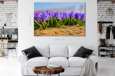 Canvas Print -  Blooming Hyacinths In Spring Forest #E0736