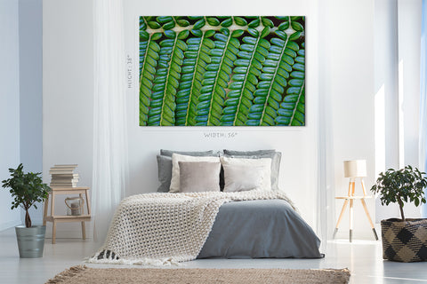 Canvas Print -  Fern Leaf #E0689