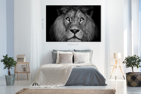 Canvas Print -  Portrait Of Beautiful Lion #E1026