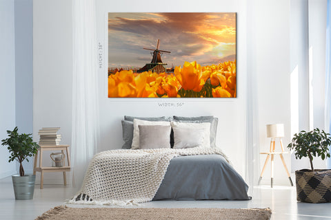 Canvas Print -  Yellow Tulips At Sunset #E0752