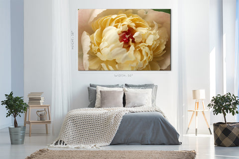 Impression sur toile - Pivoine blanche #E0697