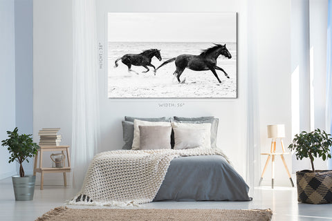 Canvas Print -  Two Horses Running On The Seashore #E0894