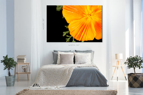 Impression sur toile - Eschscholzia orange #E0677