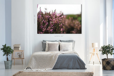 Canvas Print - Lavender in Natural Park ، هولندا #E0803