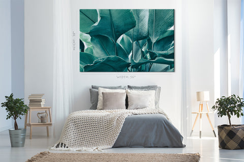 Canvas Print -  Big Foliage In Rainforest #E0645