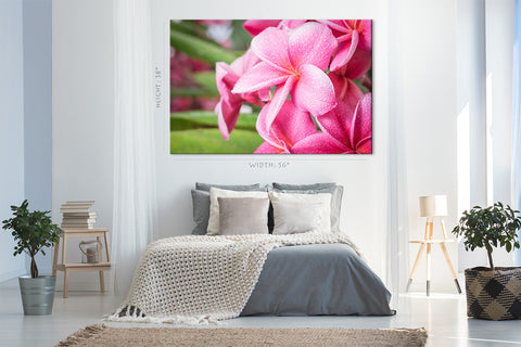 Impression sur toile - Plumeria rose en été #E0669