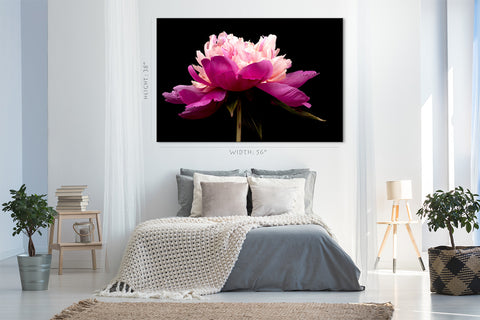 Canvas Print -  Pink Peony #E0692