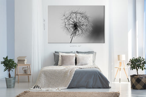 Canvas Print -  Dandelion Flower #E0814