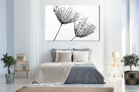 Canvas Print -  Black And White Photo With Dandelions #E0832