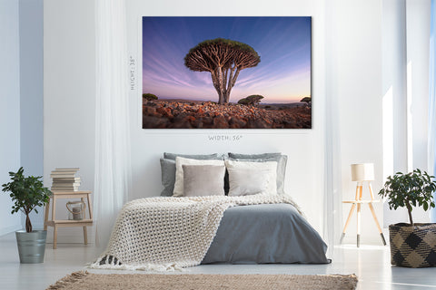 Impression sur toile - Arbre de sang de dragon au lever du soleil #E0963