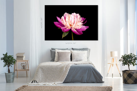 Impression sur toile - Merveilleuse pivoine rose #E0685