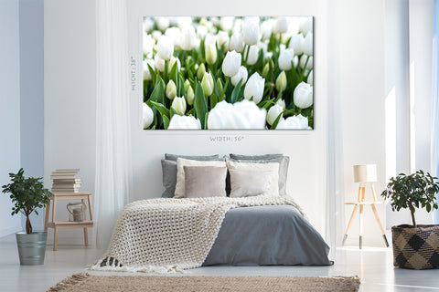 Impression sur toile - Tulipes blanches #E0739