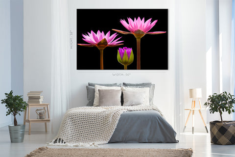 Canvas Print -  Incredible Water Lilies #E0667