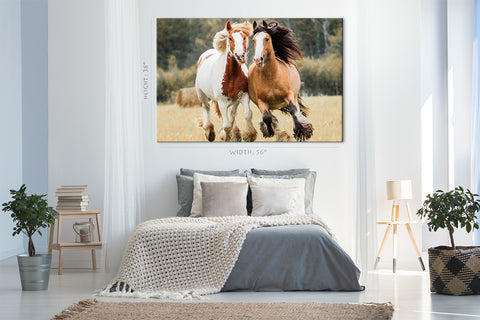 Canvas Print -  Horses Run Across The Field #E0895