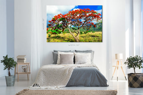 Canvas Print -  Beautiful Exotic Flame Tree #E0969