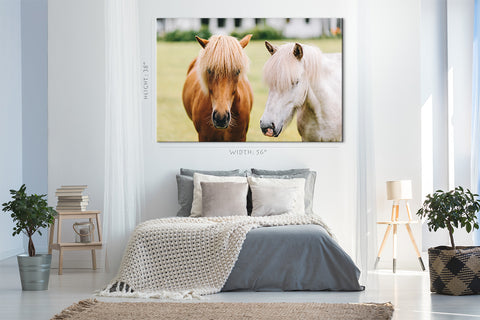 Impression sur toile - Portrait de beaux chevaux #E0908