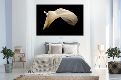 Canvas Print -  Big White Arum Lily #E0686