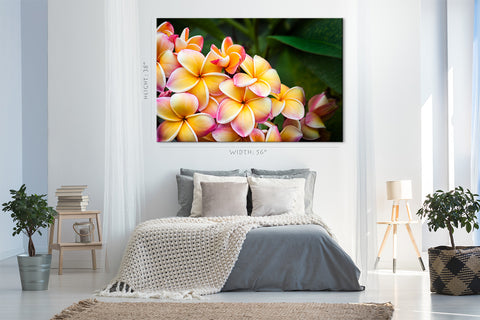 Impression sur toile - Fleurs de frangipanier colorées #E0699