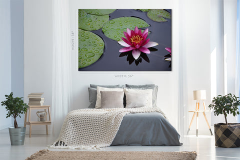 Canvas Print -  Purple Water Lily On The Pond #E0837