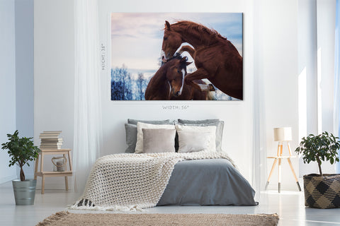 Canvas Print -  Portrait Of Two Playing Horses In Winter #E0917