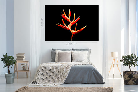 Impression sur toile - Belle fleur orange #E0655