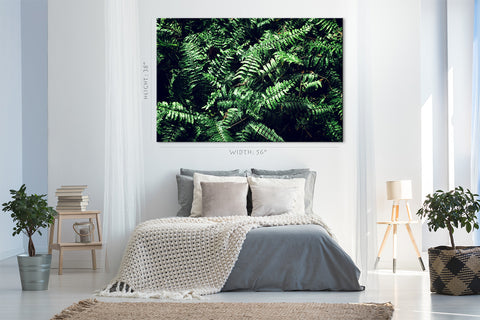 Canvas Print -  Fern Leafs #E0822