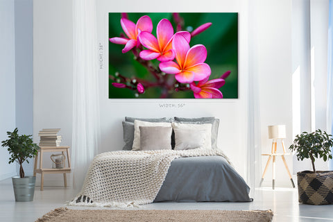 Impression sur toile - Branche de Plumeria rose tropical #E0674