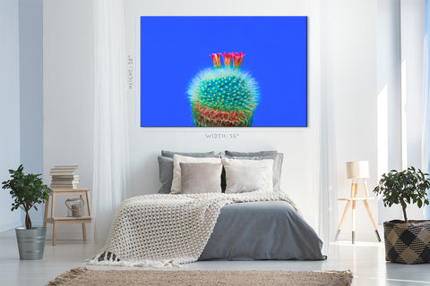 Canvas Print -  Blooming Cactus On Blue Background #E0809