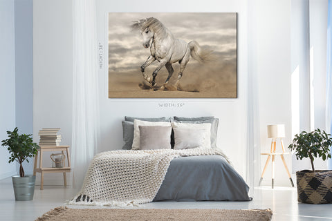 Impression sur toile - Cheval andalou dans le désert #E0890