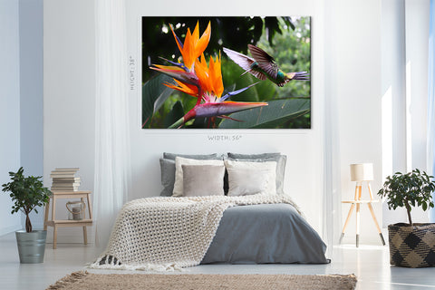 Canvas Print -  Flying Hummingbird At Strelitzia Flower #E0719