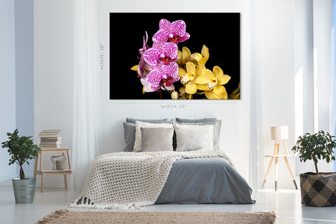 Impression sur toile - Orchidées multicolores #E0682